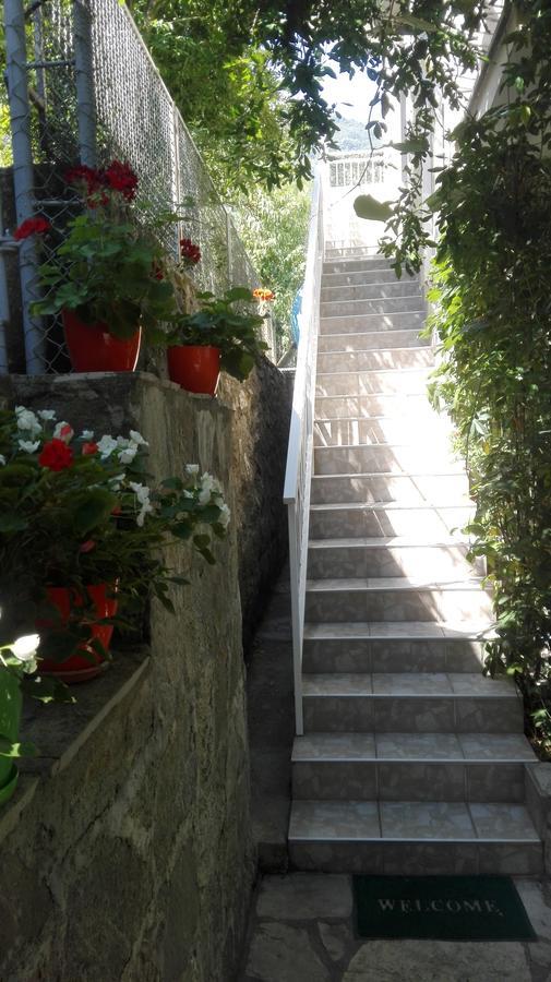 Apartments Penovic Kotor Ngoại thất bức ảnh