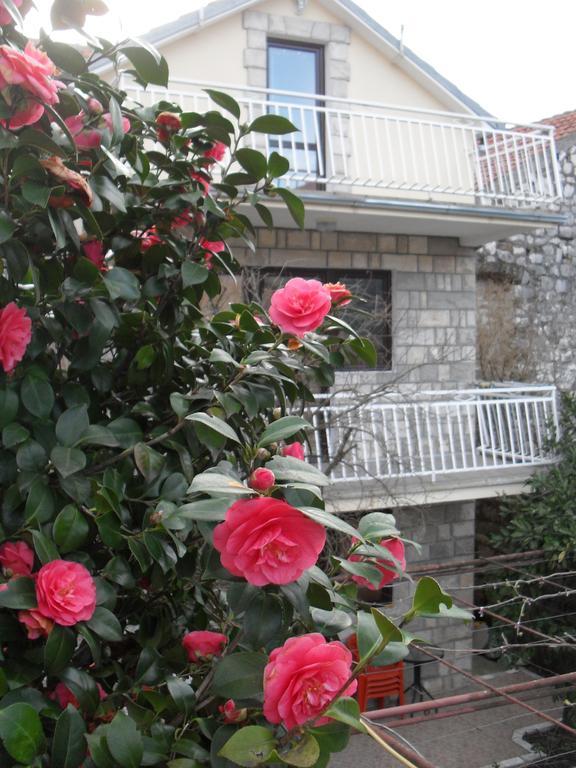 Apartments Penovic Kotor Ngoại thất bức ảnh